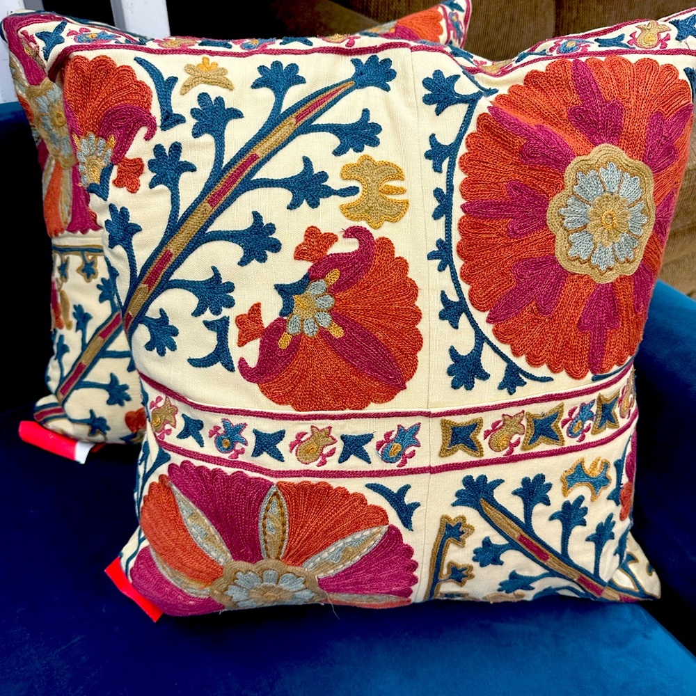 2 Pottery Barn “Rozelle” Embroidered Pillows